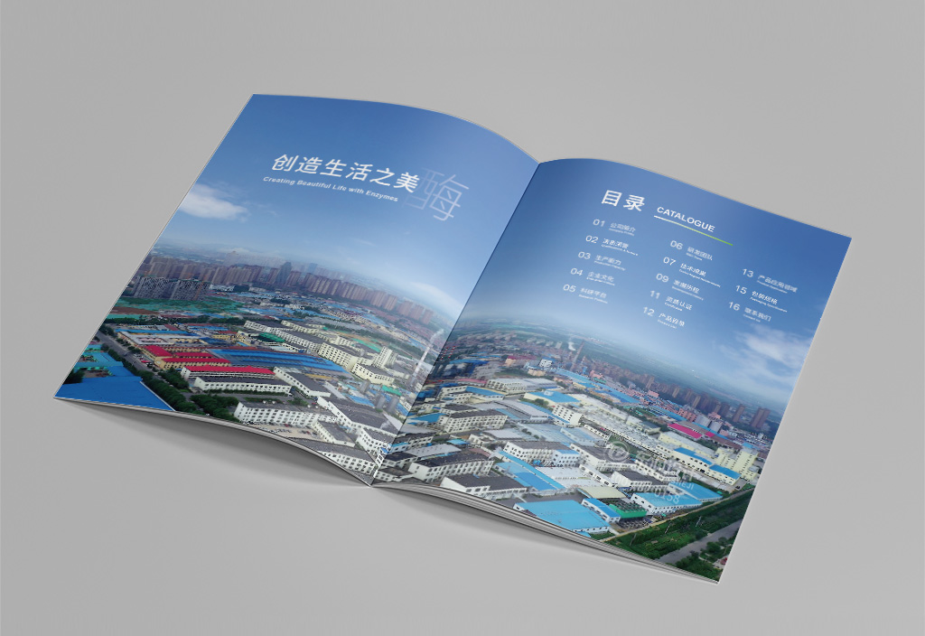 企业宣传册设计-化工行业
